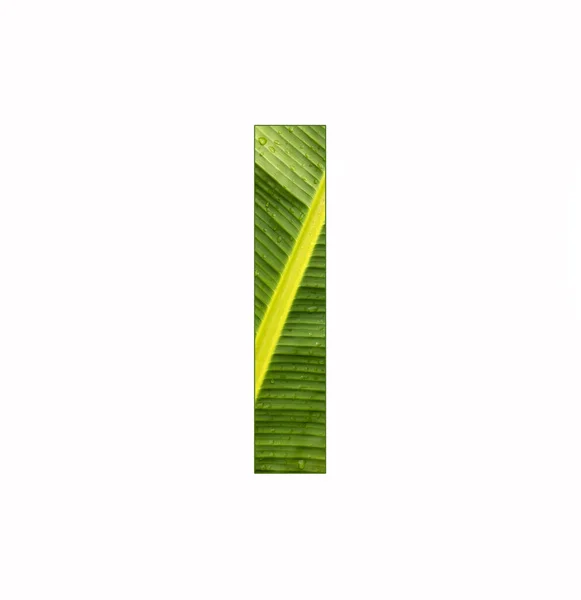 Alfabetet Brev Bananplantan Blad Bakgrund — Stockfoto