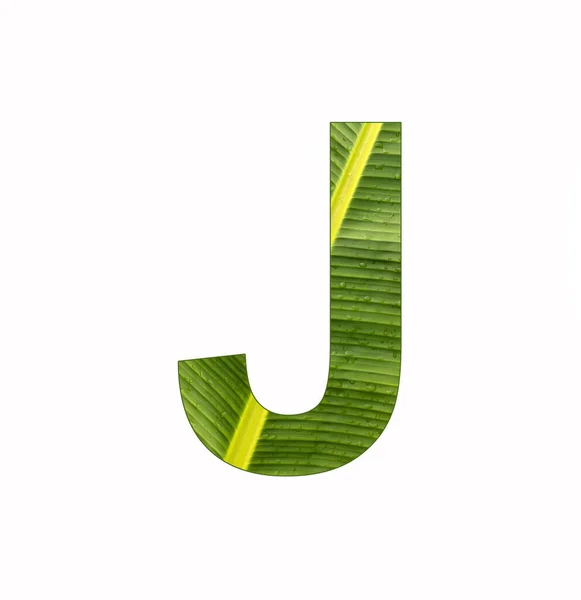 Alphabet Letter Banana Plant Leaf Background — 스톡 사진