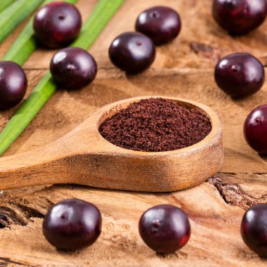 Euterpe oleracea - Barutlu Amazon acai üzümü