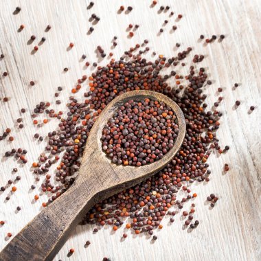 Kurutulmuş organik hardal tohumu - Kurutulmuş baharat