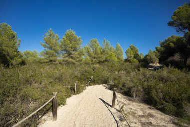 Palma de Mallorca - İspanya, Punta de Amer Doğa Koruma Alanı