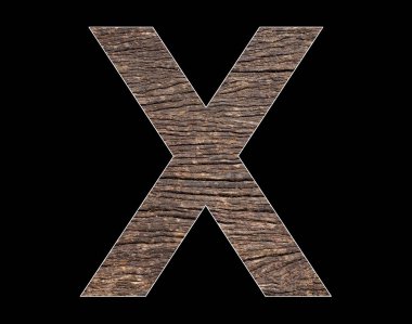 Uppercase letter X of the alphabet - Rustic tree cortex texture