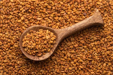 Dried organic fenugreek seeds in the spoon - Trigonella foenum-graecum