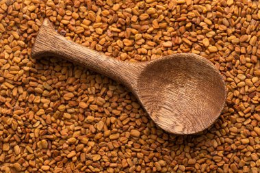 Trigonella foenum-graecum - Dried organic fenugreek seeds in the spoon