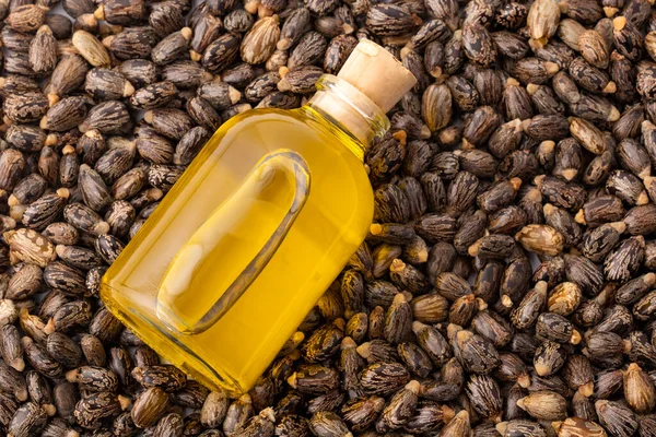 stock image Ricinus communis oil in the glass container - Organic castor seeds