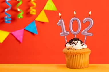 102 numaralı mumlu doğum günü pastası kiraz çiçekli parlak turuncu arka plan