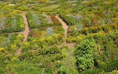 Silletera evinin bahçeleri - Santa Elena