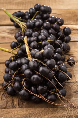 Taze organik acai meyveleri - Euterpe oleracea