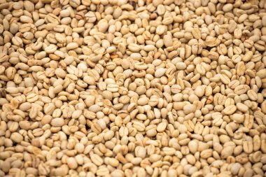 Kolombiya kahve çekirdeklerinin doğal olarak kurutulması - Kahve