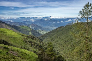 Güneybatı Antioquia 'nın dağlık manzarası, bitkilerle dolu dağlar, Kolombiya' nın Heliconia belediyesi.