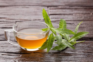 Limonlu sıcak içecek - taze organik limon verbena bitkisi - Aloysia citrodora