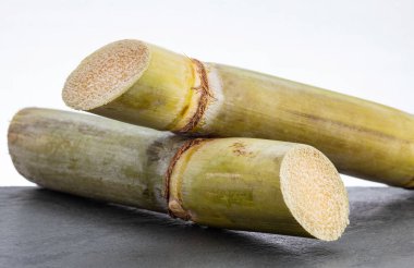 Organik şeker kamışı sapları - Saccharum officinarum