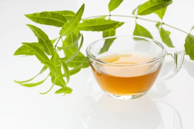 Aloysia citrodora - limon verbena sıcak içecek - organik limon verbena taze bitki