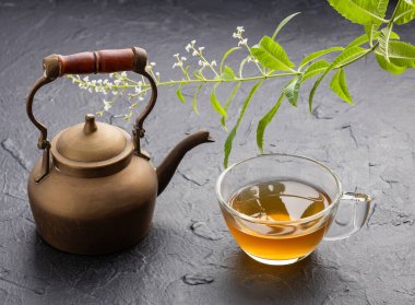 Limonlu sıcak içecek - taze organik limon verbena bitkisi - Aloysia citrodora