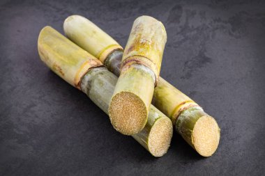 Organik şeker kamışı sapları - Saccharum officinarum