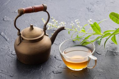 Aloysia citrodora - Taze organik limon verbena bitkisi