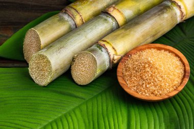 Saccharum officinarum - Doğal kamışlı esmer şeker