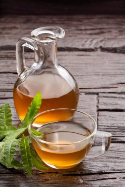 Taze organik limon verbena bitkisi - Aloysia citrodora