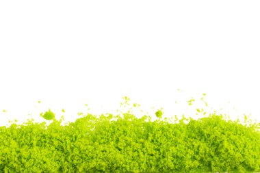 Yeşil limon aromalı tuz pişirmek - Michelada için içerik