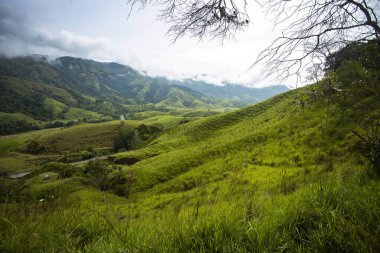 Antioquia dağları, bitki örtüsüyle dolu dağlar, San Roque, Kolombiya