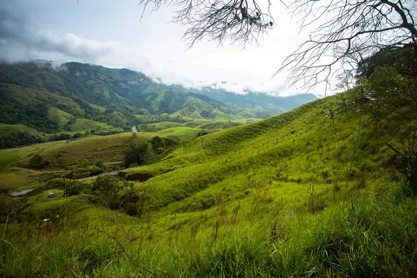 Antioquia dağları, bitki örtüsüyle dolu dağlar, San Roque, Kolombiya
