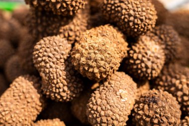 Sanagua egzotik şifalı meyve - Manicaria saccifera