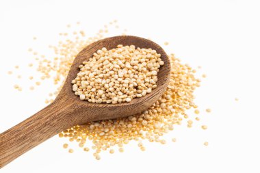 Kaşıkta kinoa tohumları - Chenopodium kinoası