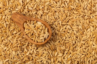 Kaşığın üzerinde kuru orzo makarna - pirinç taneleri şeklinde İtalyan risonisi