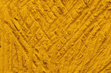 Curcuma longa - Zerdeçal çok sağlıklı bir türdür