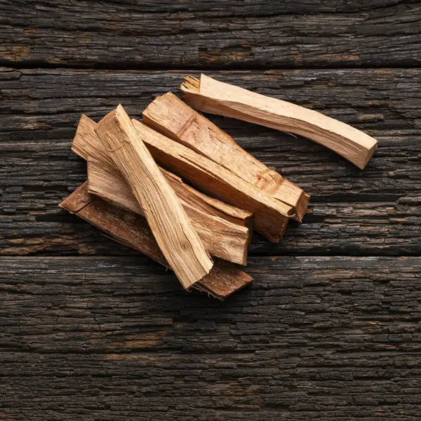 stock image Castela texana - Dried organic chaparro sticks