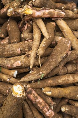 Kolombiya köylü pazar meydanında birçok organik manyok var.