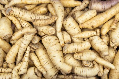 Arracacha Kolombiya köylü pazarında - Arracacia xanthorrhiza