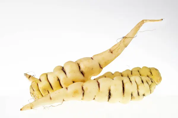 stock image Tropaeolum tuberosum - Colombian organic cubios. Tubers on white background.