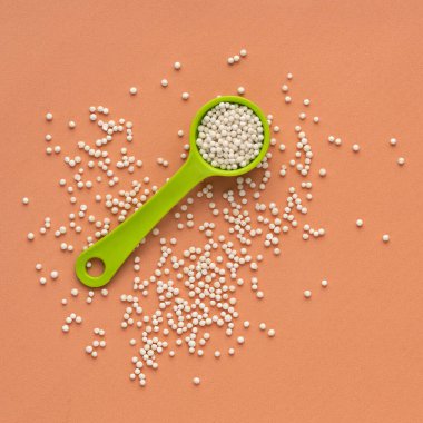 Sagu nişasta topları - kaşıkta tapyoka incileri. Manihot esculenta.