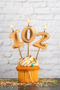 102 numaralı doğum günü mumlu kek - Beyaz blok duvar arkaplanı