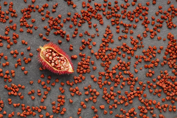 stock image Pile of organic annatto seeds - Seasoning and red food coloring. Bixa Orellana