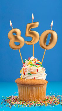 850 numaralı mumlu doğum günü keki.