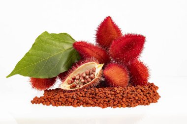 Organik annatto ekimi - Bixa Orellana kırmızı tohumları