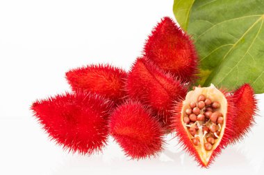Organik annatto ekimi - Bixa Orellana kırmızı tohumları