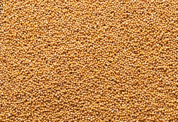 stock image Yellow mustard seeds background - Sinapis alba.