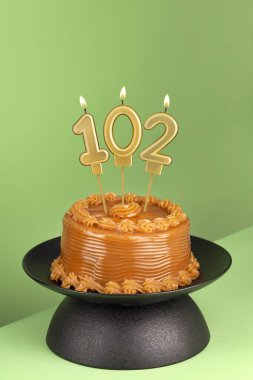 Delicious cake with dulce de leche - Number 102 birthday candle on a green background. clipart