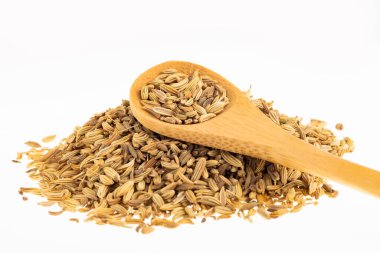 Foeniculum vulgare - kaşıkta kurutulmuş organik rezene tohumları.