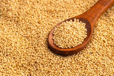 Amaranthus - Ahşap kaşıkta Amaranth tohumları. Sağlıklı yemek..