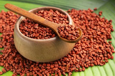 Bixa Orellana kaşık ve kâsede organik kırmızı annatto tohumları.
