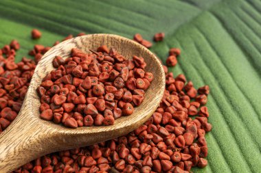 Kırmızı organik annatto tohumları kaşıkta - Bixa Orellana.