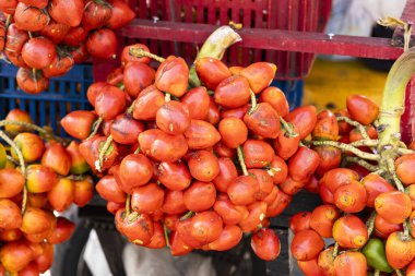 Chontaduro fruit of the amazon palm tree - Bactris gasipaes. clipart