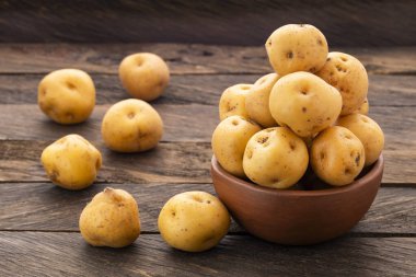 Solanum phureja - Organik sarı cırcır böceği patatesi.
