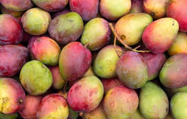 Mangifera indica - Geleneksel Kolombiya pazarında mango tommy meyvesi