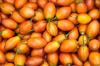 Geleneksel Kolombiya pazarında Solanum Betaceum meyvesi - Tamarillo