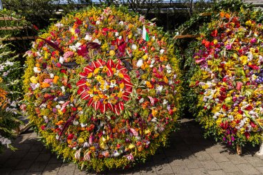 Egzotik Kolombiya çiçek gümüşleri - Medellin 'de renkli festival.